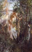 Anders Zorn Unknow work 88 oil on canvas